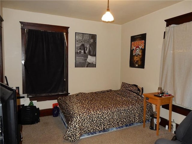 bedroom with carpet