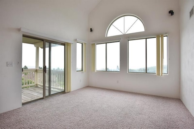 spare room featuring carpet floors and a wealth of natural light