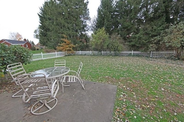 view of yard featuring a patio area