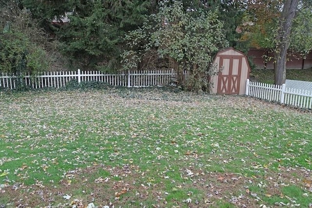 view of yard with a shed