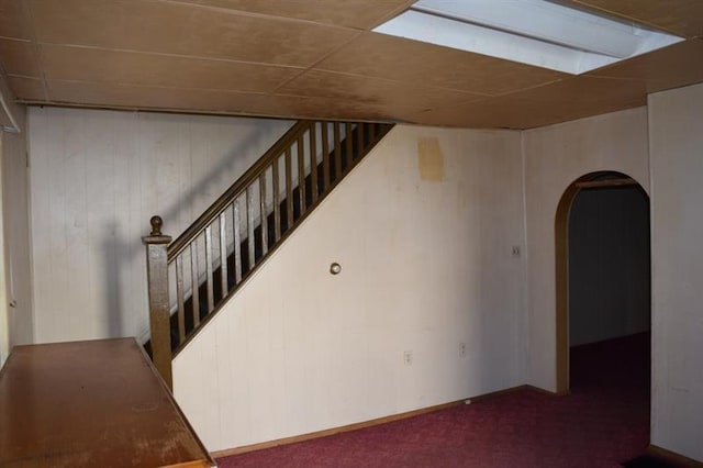 stairway featuring carpet floors