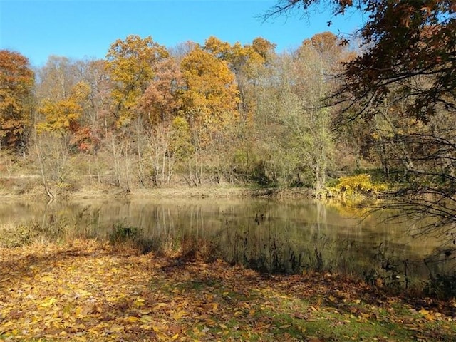 view of nature with a water view