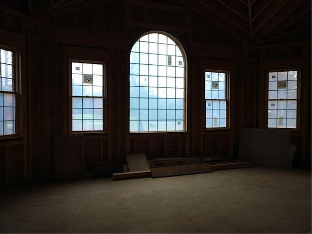 interior space featuring a wealth of natural light and vaulted ceiling