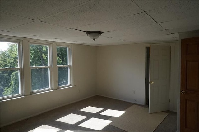 carpeted spare room featuring a drop ceiling and a wealth of natural light