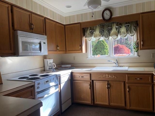 kitchen with white appliances and sink