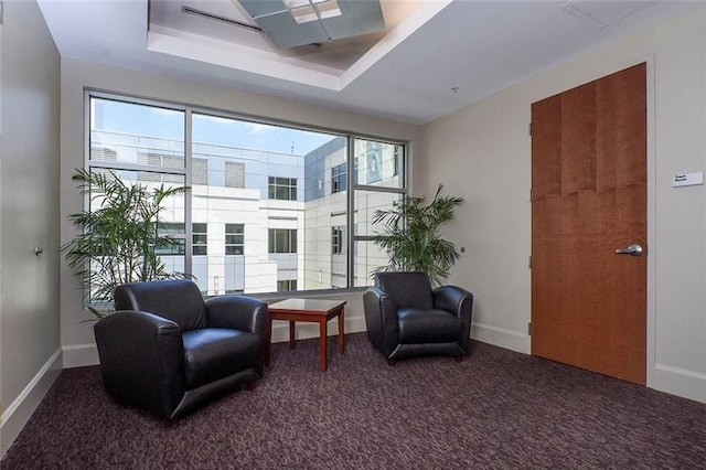 sitting room with a raised ceiling and dark colored carpet