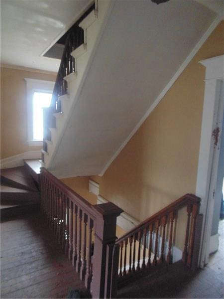 stairway featuring dark hardwood / wood-style flooring and ornamental molding