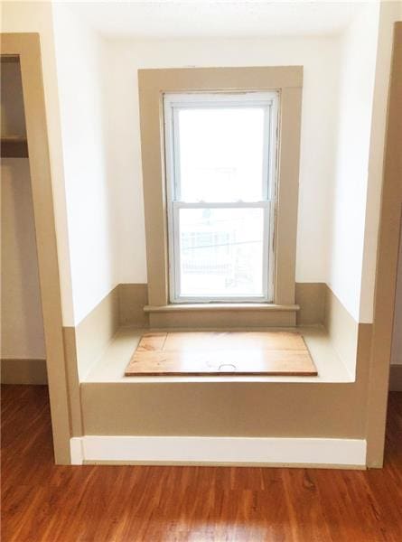 entryway featuring a wealth of natural light and dark hardwood / wood-style flooring