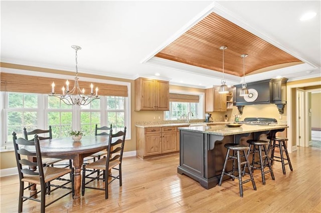 kitchen featuring pendant lighting, a tray ceiling, and light hardwood / wood-style floors