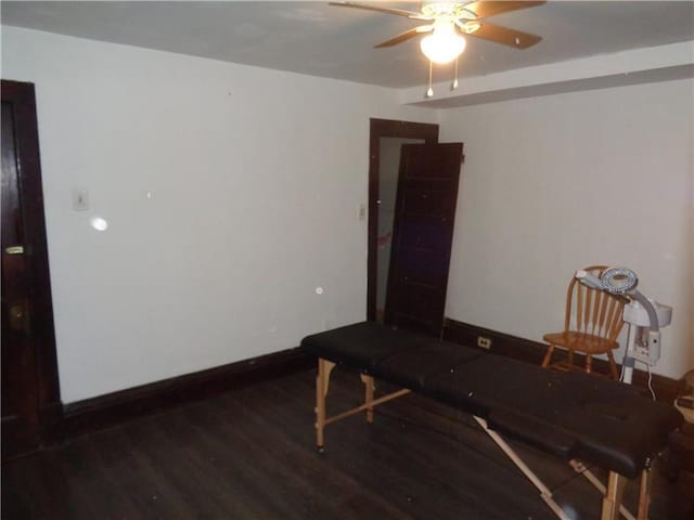 home office featuring ceiling fan and dark hardwood / wood-style floors