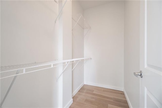 walk in closet featuring light hardwood / wood-style floors