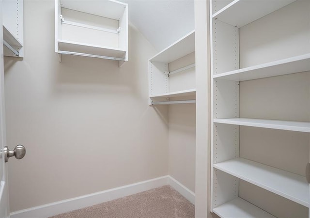 walk in closet featuring carpet