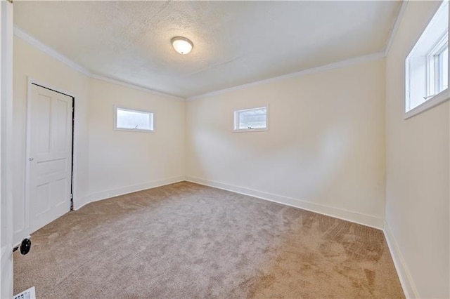 spare room featuring crown molding and light colored carpet