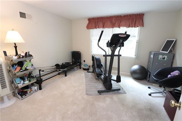 workout area featuring light colored carpet