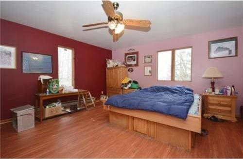 bedroom with multiple windows, ceiling fan, and hardwood / wood-style flooring