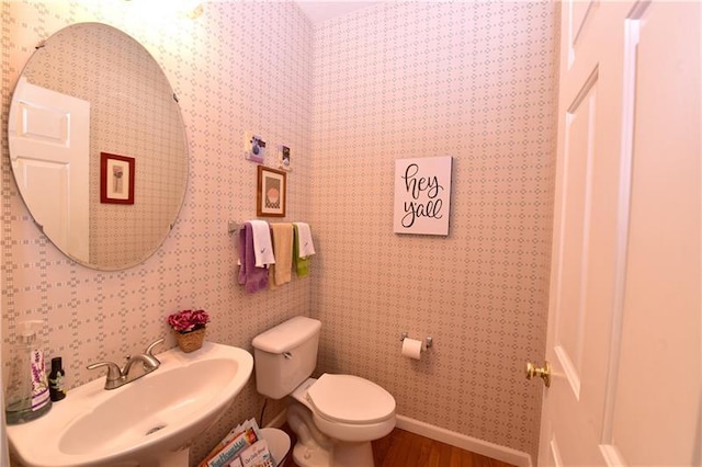 bathroom featuring sink, hardwood / wood-style floors, and toilet