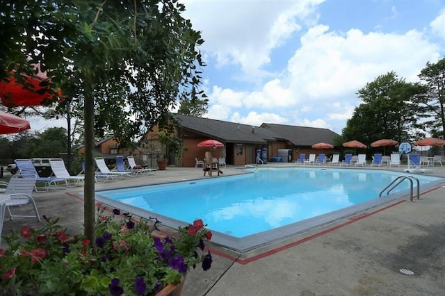 view of swimming pool with a patio area