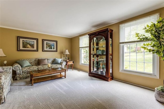 interior space with ornamental molding and light colored carpet