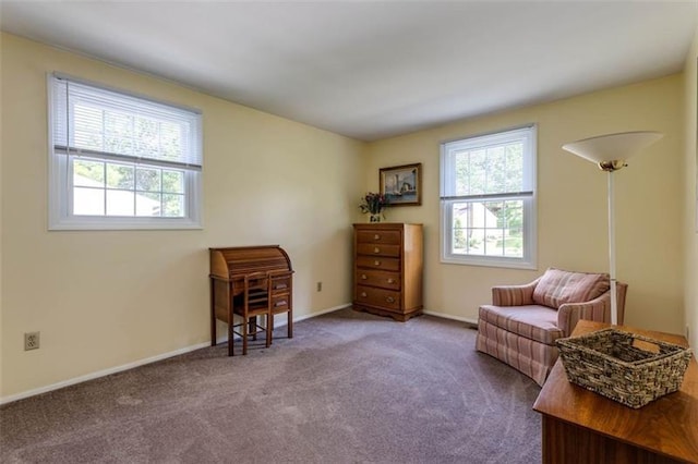 living area with dark carpet