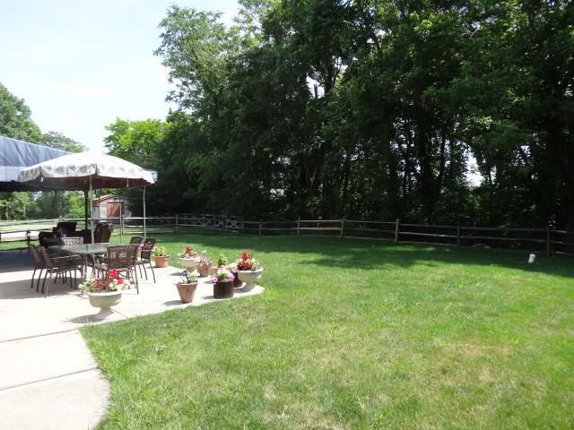 view of yard featuring a patio