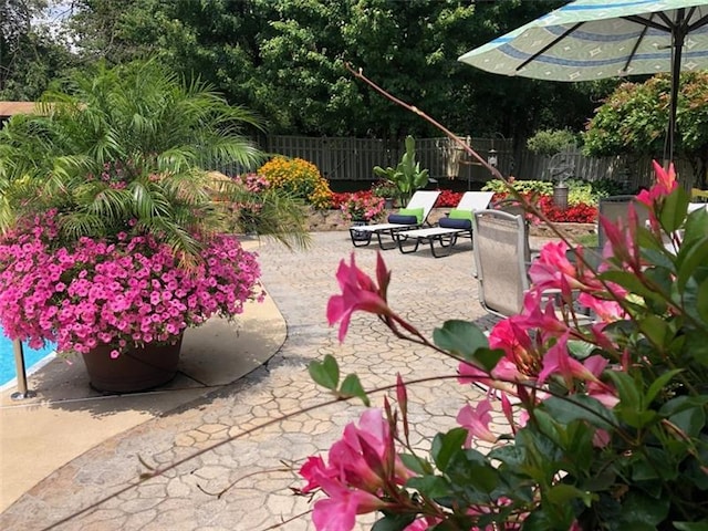 view of yard with a patio area