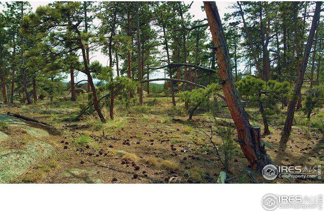 3000 Fox Acres Dr E, Red Feather Lakes, CO 80545