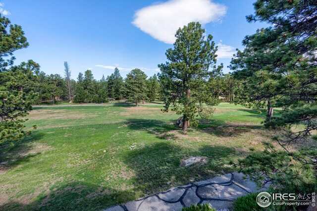 3000 Fox Acres Dr E, Red Feather Lakes, CO 80545