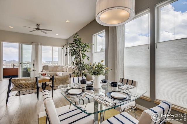 dining space with ceiling fan and light wood-type flooring