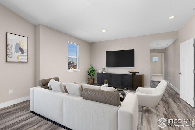 living room featuring hardwood / wood-style flooring