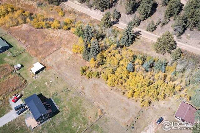 Listing photo 2 for 531 Caribou Rd, Nederland CO 80466