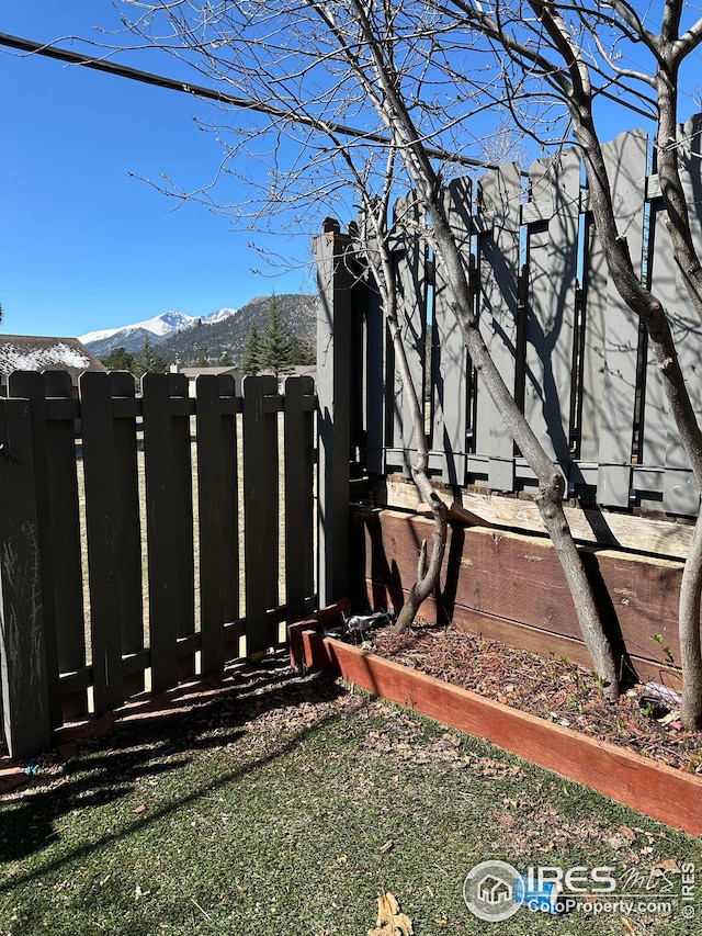 view of yard featuring a mountain view