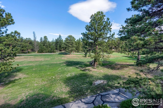 400 Fox Acres Dr W, Red Feather Lakes, CO 80545