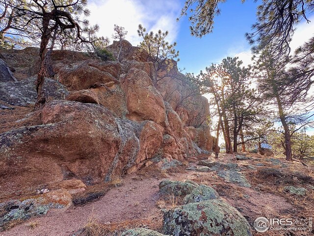 view of local wilderness