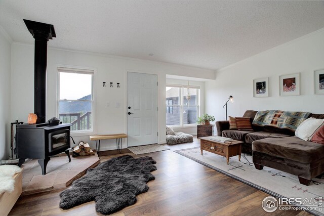 living room with crown molding, a wood stove, plenty of natural light, and wood finished floors