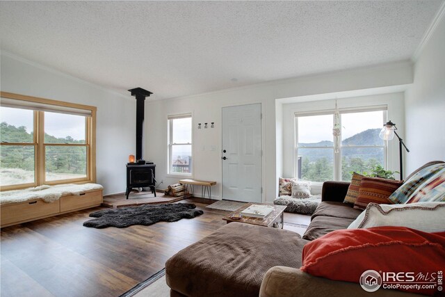 living area featuring crown molding, a wood stove, wood finished floors, and a wealth of natural light