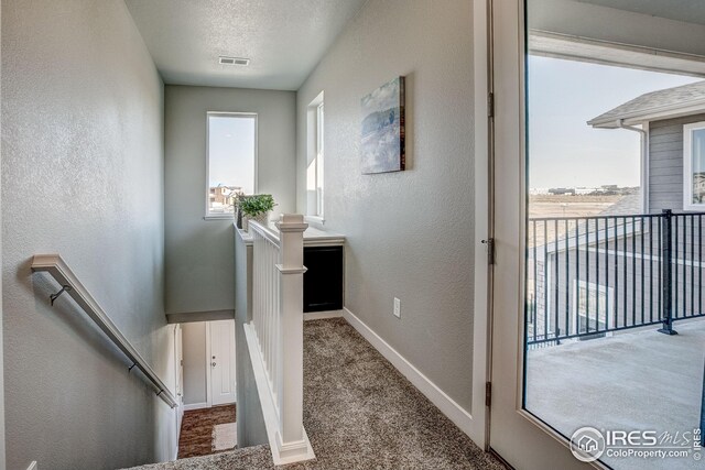 interior space featuring carpet flooring and a textured ceiling