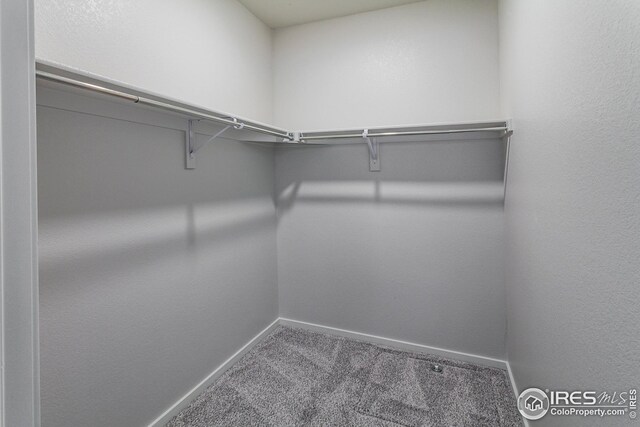 spacious closet featuring carpet