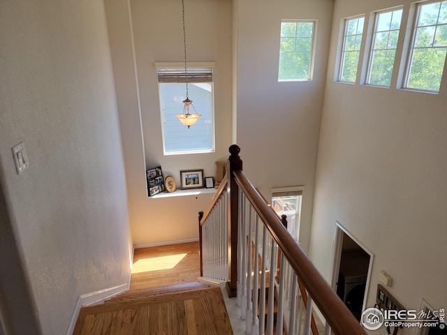 stairway featuring hardwood / wood-style floors