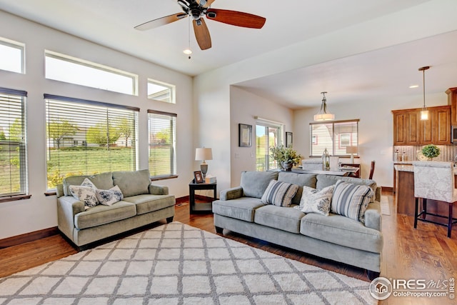 living room with ceiling fan and hardwood / wood-style floors