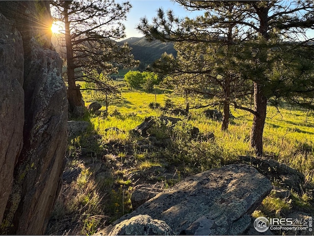 view of local wilderness with a mountain view