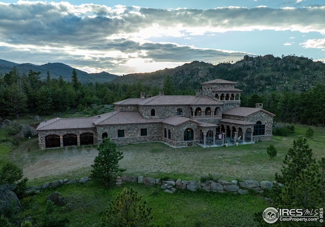 rear view of property with a mountain view and a yard