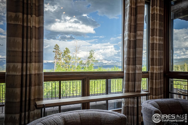 300 Samaia Ct, Tabernash, CO 80478 - view of interior details