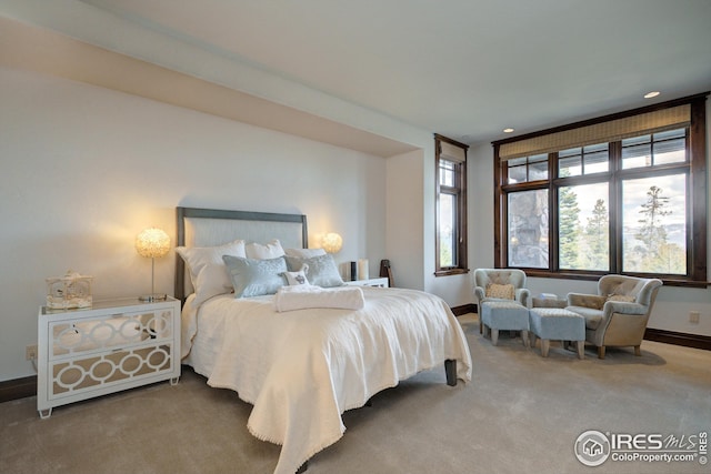 300 Samaia Ct, Tabernash, CO 80478 - carpeted bedroom with baseboards