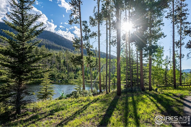 300 Samaia Ct, Tabernash, CO 80478 - view of water feature featuring a forest view and a mountain view