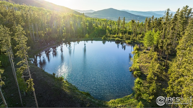 300 Samaia Ct, Tabernash, CO 80478 - view of water feature featuring a mountain view and a view of trees