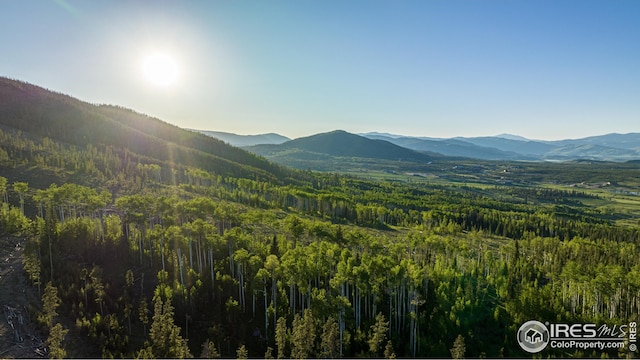 300 Samaia Ct, Tabernash, CO 80478 - mountain view featuring a view of trees