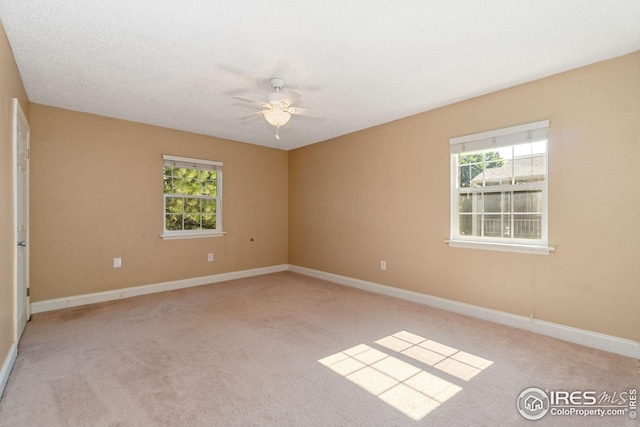 unfurnished room featuring plenty of natural light, light colored carpet, and a textured ceiling