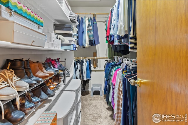 spacious closet featuring carpet flooring