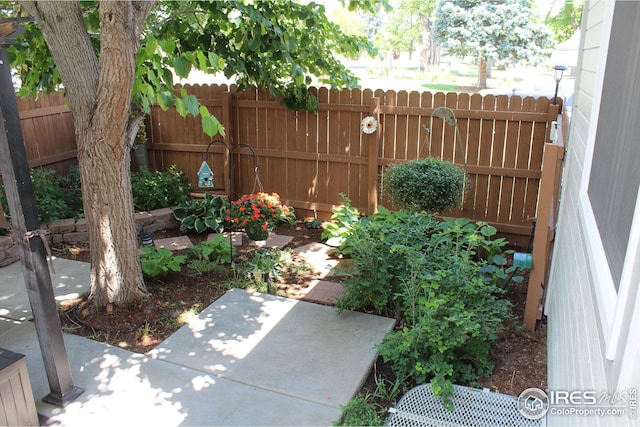 view of yard featuring a patio area