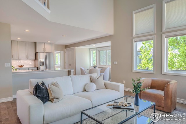 living room featuring a high ceiling and hardwood / wood-style flooring